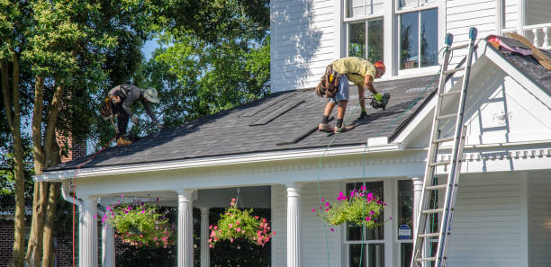 Best Asphalt Shingles Roofing  in Mount Vernon, GA